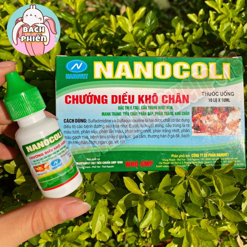 Nanocoli phòng Ecoli,ecoli ghép cầu trùng cho thỏ, bọ.