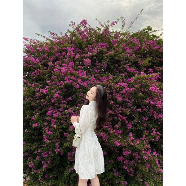 MSIX.MV | Đầm Roesy Dress váy chụp kỷ yếu , váy sinh nhật, váy đi tiệc