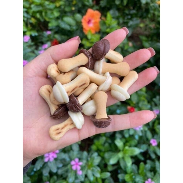 Bánh quy hình nấm Nga - Bánh nấm Nga đủ Vị 270g