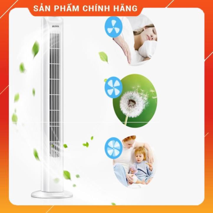 [Freeship 10k] QUẠT QUẠT QUẠT