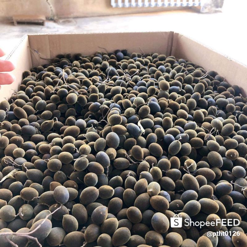 Say rừng gia lai 500gam