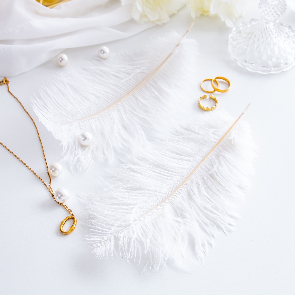 Lông đà điểu dùng trang trí chụp ảnh siêu đẹp tùy chọn số lượng