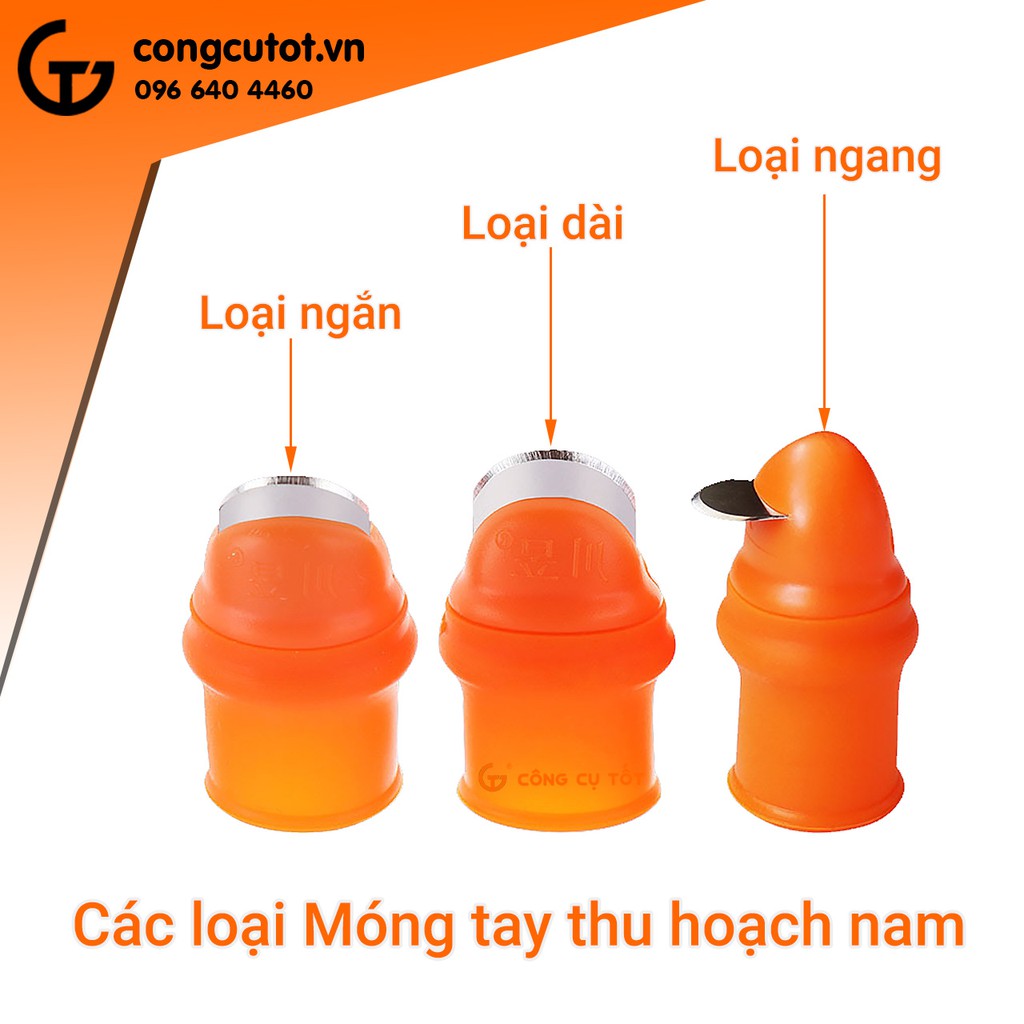 Bao ngón tay thu hoạch, móng tay thu hoạch nông lâm nghiệp ( chỉ có ngón cái không có ngón trỏ)