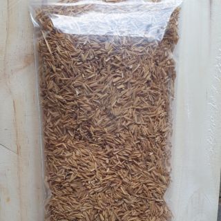 Giá thể vỏ trấu trồng cây cảnh, rau, hoa hồng