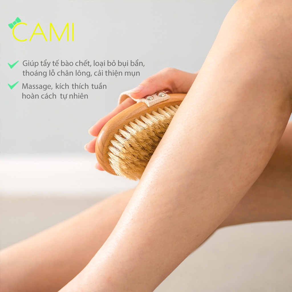 Bàn Chải Lông heo rừng tự nhiên, cán gỗ sồi chắc chắn, dùng khi tắm hoặc dùng cho thú cưng - Cami - CMPK240