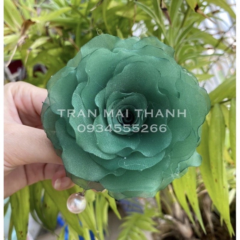 Hoa cài áo - Hoa hồng cài áo cánh đốt tự nhiên