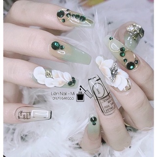 M06 - Móng tay giả thiết kế bộ 24 móng