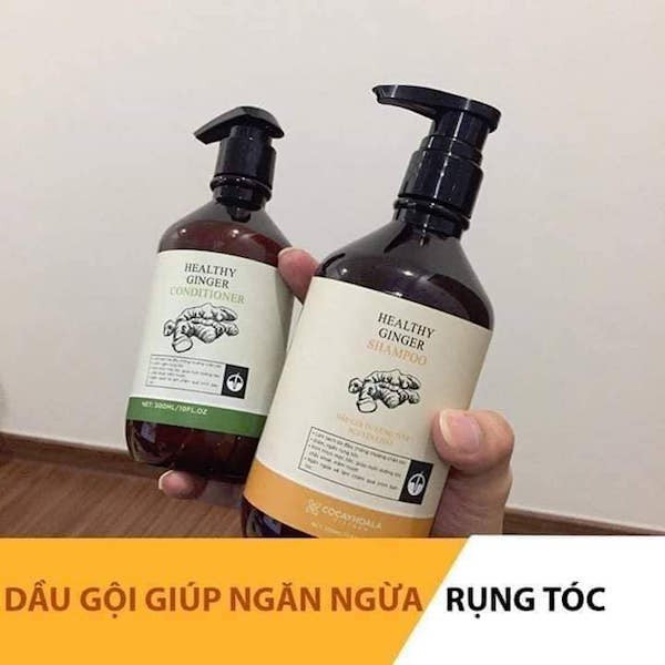 [GIÁ TỐT NHẤT] Dầu gội thảo dược hữu cơ Gừng Tươi - Phục hồi tóc hư tổn - Giảm tóc gãy rụng hiệu quả