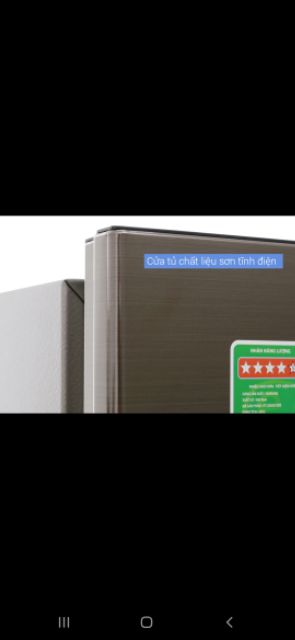 Tủ lạnh Samsung Inverter 236 lít RT22M4032DX/SV