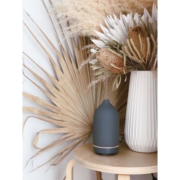 Banksia dùng để trang trí cắm hoa, làm đồ handmade.