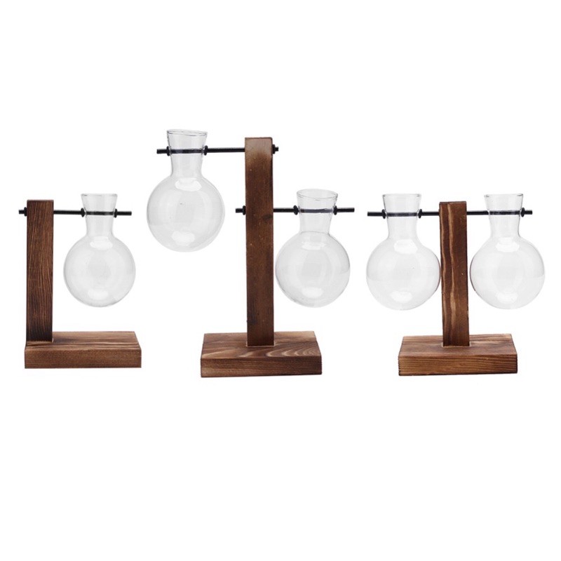Set chậu trồng cây chốn văn phòng mang cả thiên nhiên vao trong cty hay nhà