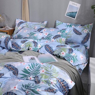 SET POLY NHẬP