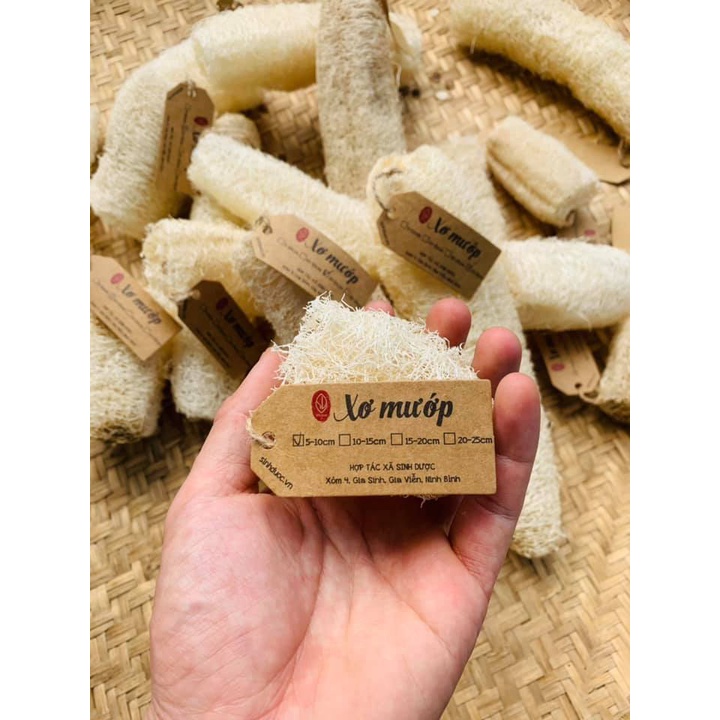Xơ Mướp Khô Tự Nhiên, Để Tắm, Tẩy Da Chết, Rửa Bát Bena Organic