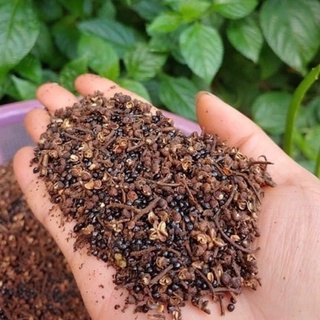 Hạt mắc khén tây bắc Gói 500 gram
