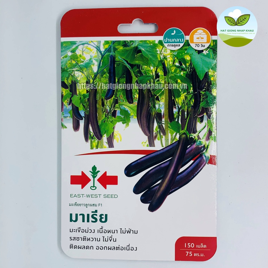 Hạt Giống Cà Tím Siêu Quả Hai Mũi Tên F1 Thái Lan. 150 hạt/ gói. Hàng nhập Thái Lan. Tặng 1 gói với đơn hàng 8 gói.