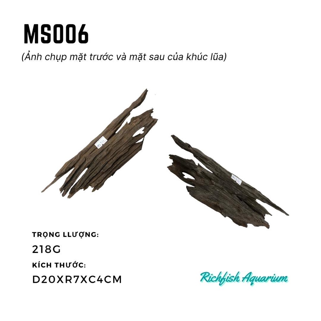 Gỗ lũa dùng setup layout bể cá cảnh thủy sinh nhỏ từ 20-30cm (Ms001-Ms008)