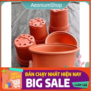 Chậu Nhựa Trồng Xương Rồng, Sen Đá, Cây Giống 😌