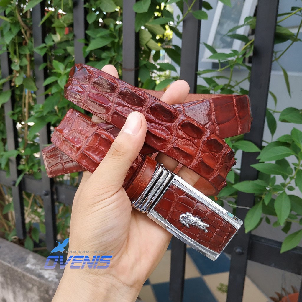 Dây Nịt Cá Sấu Liền Lưng [MÀU NÂU ĐỎ ĐẸP SANG CHẢNH]