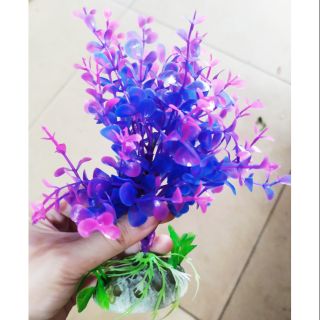 Cây nhựa trang trí hồ cá cảnh (cao 17cm)
