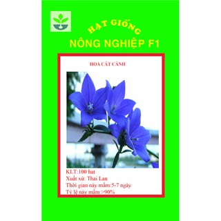 100 Hạt giống hoa cát cánh
