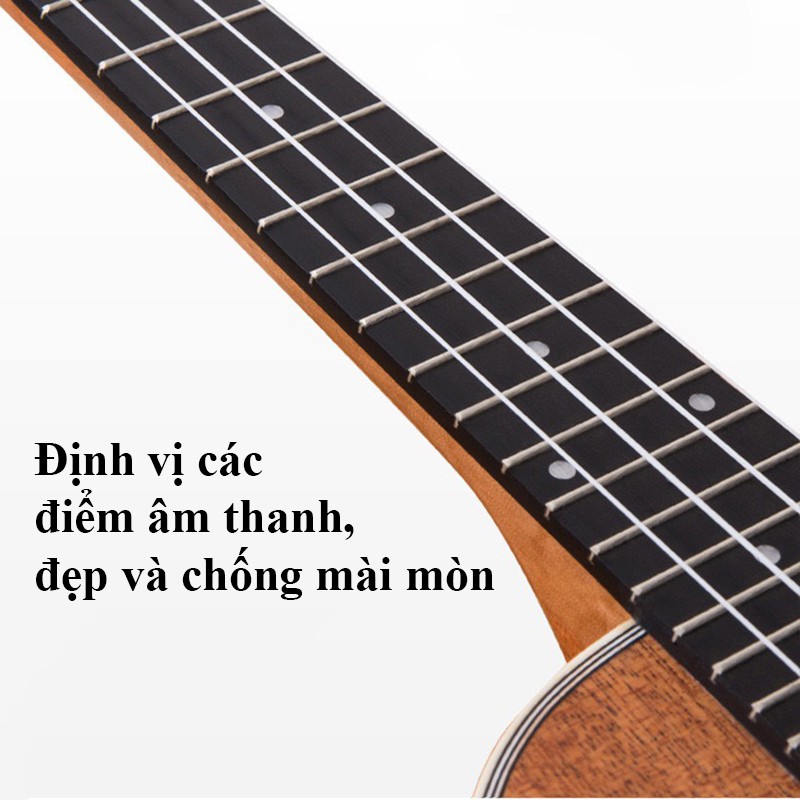 ĐÀN UKULELE CONCERT GỖ MAHOGANY KÈM PICK GẢY KẸP CAPO BAO ĐỰNG - ĐÀN UKULELE CAO CẤP - NC41