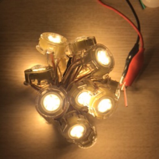 Dây led f20 đơn sắc điện áp 12V DC 30 led/dây, làm chữ quảng cáo,bóng chống nước.