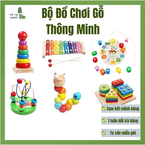 Đồ Chơi Gỗ Thông Minh Phát Triển Trí Tuệ Cho Bé, Combo 6 món giá tiết kiệm dành cho bé 1 2 3 4 tuổi