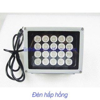 Đèn hấp hồng màn hình