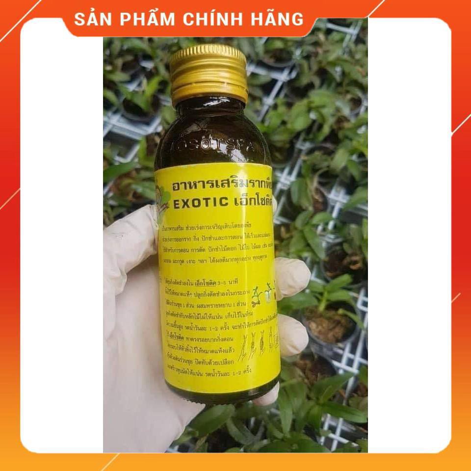 [CHÍNH HÃNG] Thuốc kích rễ EXOTIC Thái Lan - Chai 100ml