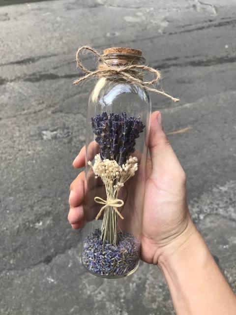 Chai thuỷ tinh hoa lavender, lọ hoa lavender khô | BigBuy360 - bigbuy360.vn