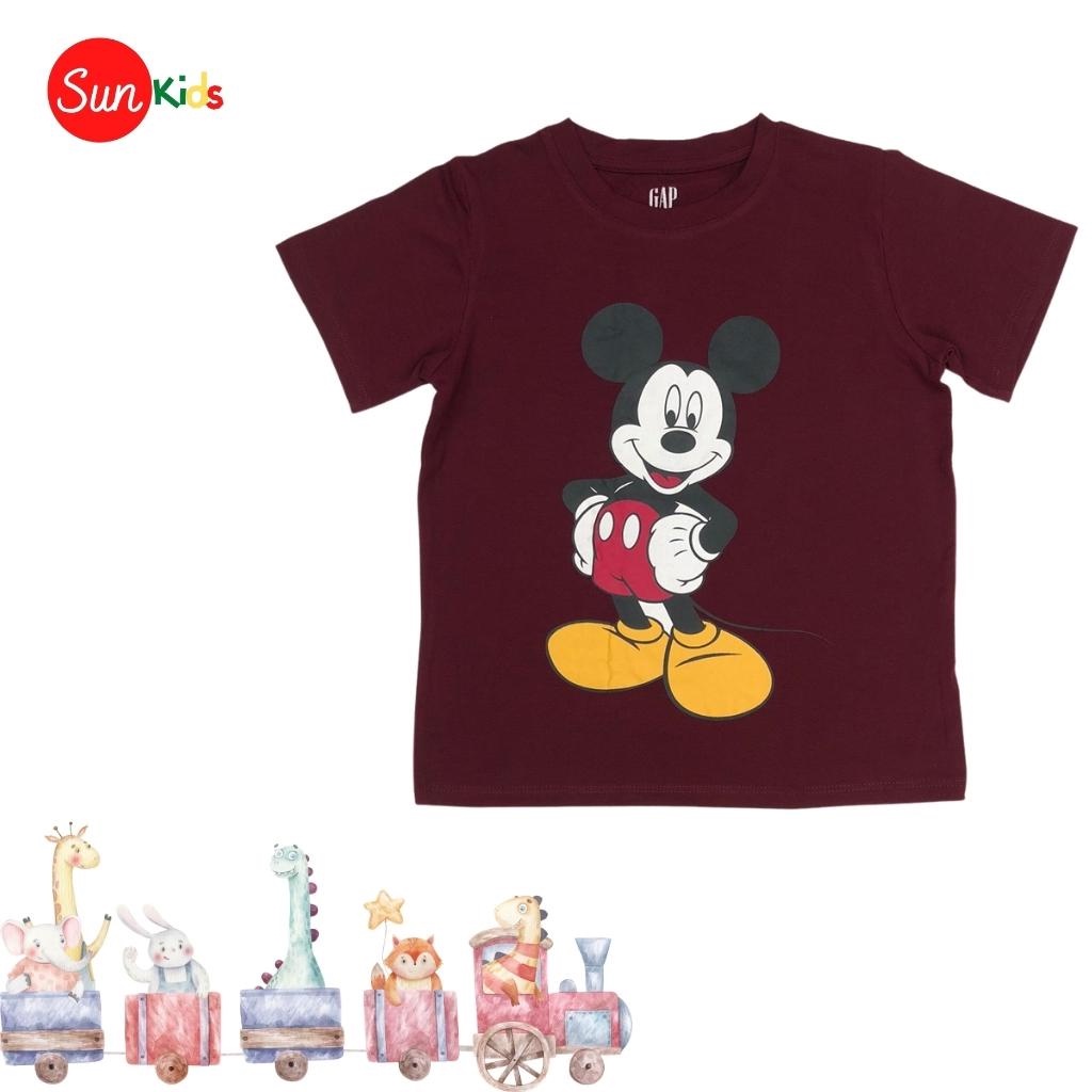 Áo thun bé trai xuất xịn, áo phông cho bé trai, chất cotton, size M - XXXL  - SUNKIDS1