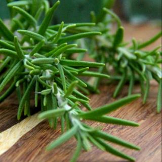 Hạt giống cây hương thảo