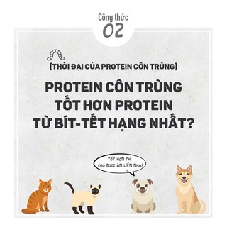 Thịt vịt cuộn thanh sữa Bowwow 80g