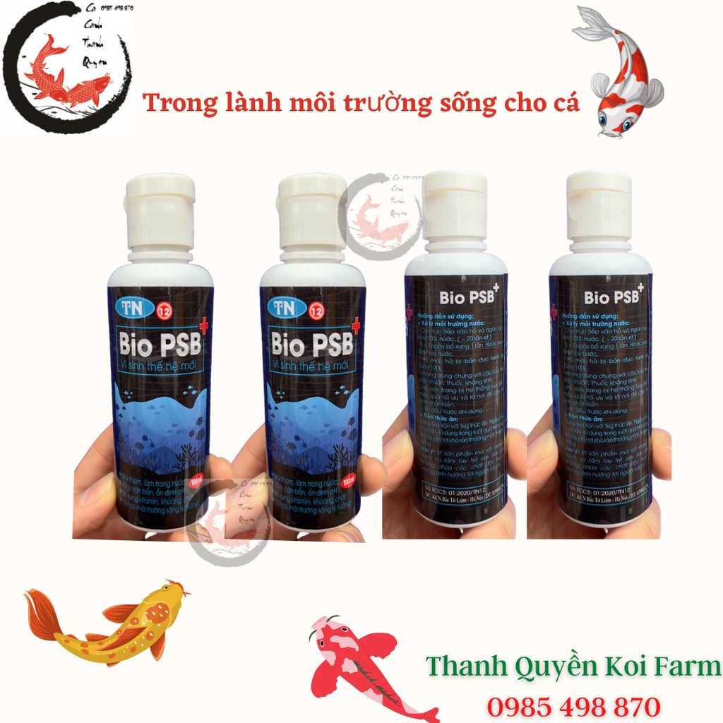 Vi sinh làm trong nước bể cá, hồ cá Koi, cá cảnh  Bio PSB+