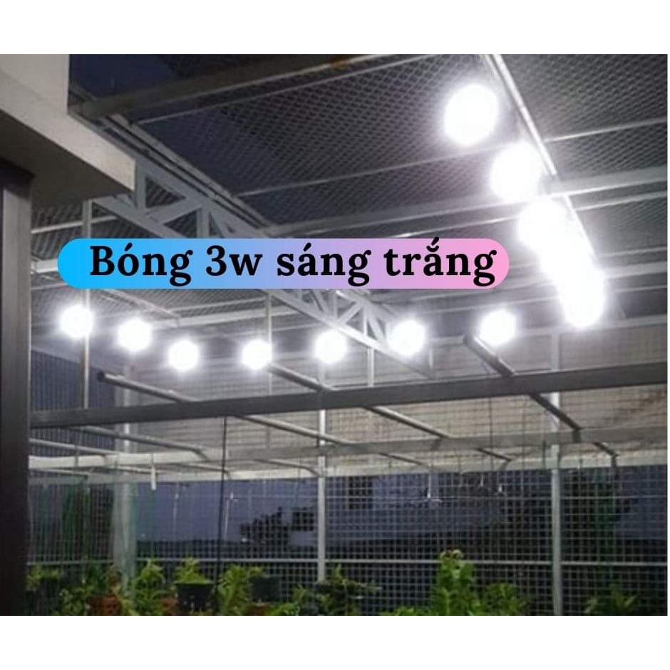 20 Bóng Led 3W Giá Rẻ Ánh Sáng Vàng/Trắng, Đèn Trang Trí Ngoài Trời Chống Nước, trang trí quán cafe, trà sữa