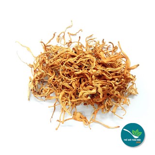 100gram Đông trùng hạ thảo loại thượng hạng - TD235