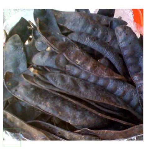 Quả bồ kết khô 500gr
