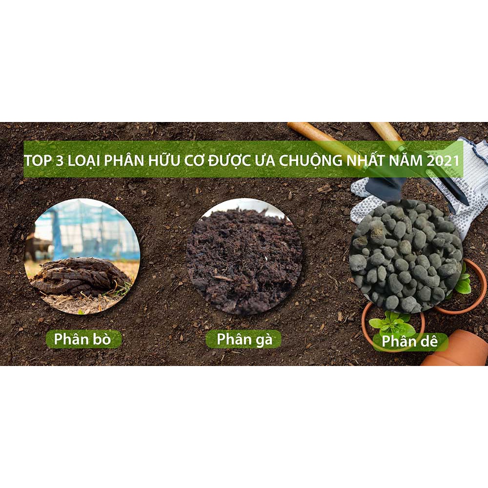 Phân dơi hữu cơ Minh Tâm Túi 1 KG | Nguyên chất 100% | Sấy khô và chiếu tia cực tím