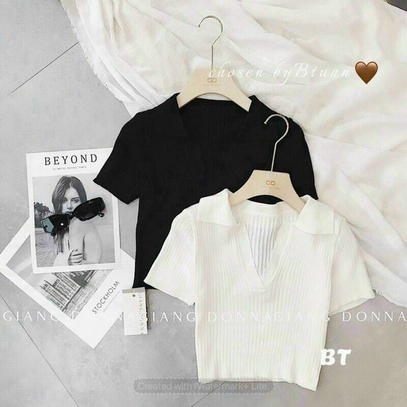Áo thun cổ V tay ngắn Croptop A15