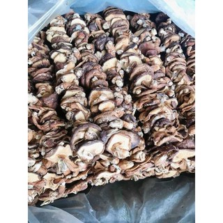 Nấm hương rừng Tây Bắc