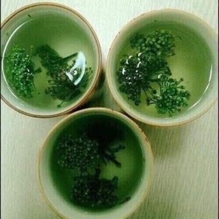 Nụ hoa tam thất bao tử Điện Biên