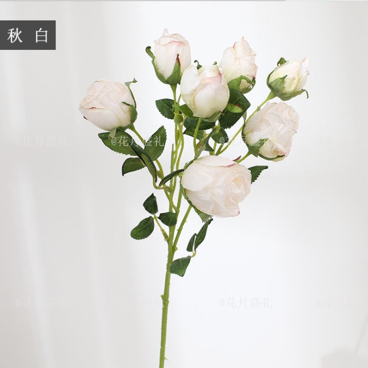 Hoa Hồng Giả Dạng Vòm Mềm Mại Dùng Để Trang Trí