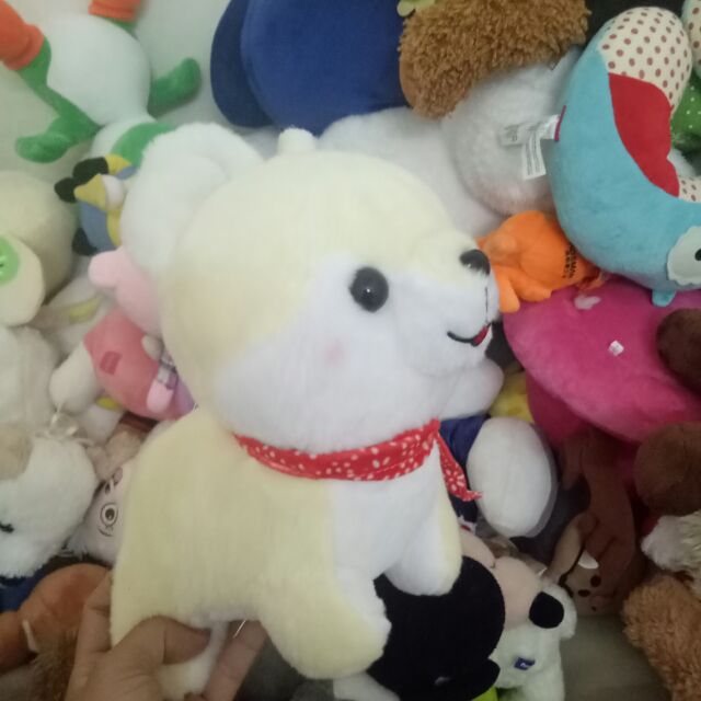 Gấu bông chó siba