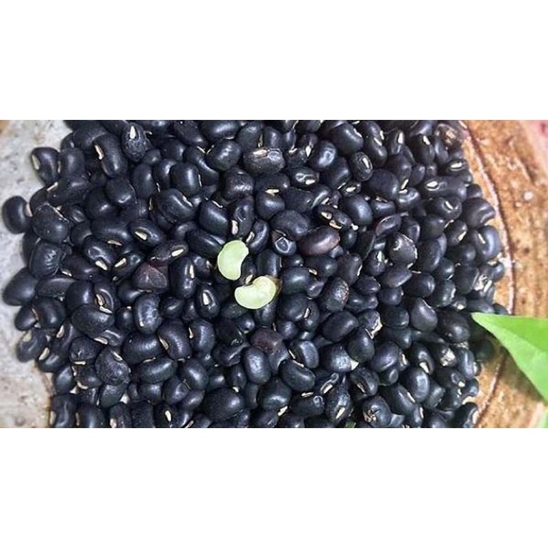 Đậu đen xanh lòng 1kg thuần chủng, hữu cơ- đậu đen hạt nhỏ