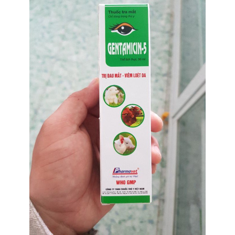 Gentamicin-5 thuốc tra mắt dành cho thú chai 50ml