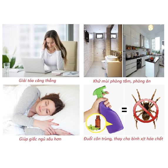 Tinh dầu thơm phòng DEAR HOUSE, tinh dầu thiên nhiên nguyên chất lọ 10ml, xông hương, khử mùi, đuổi côn trùng