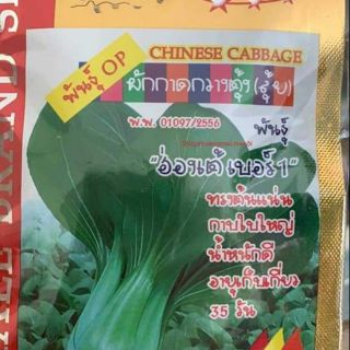 CẢI THÌA THÁI LAN