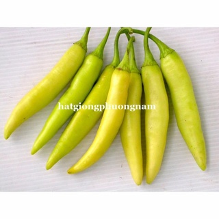 HẠT GIỐNG ỚT SỪNG VÀNG
