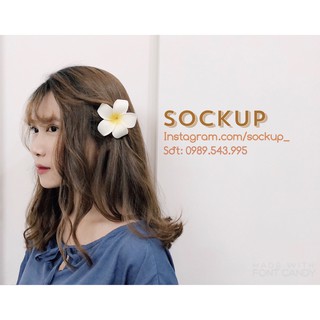 Hoa đại cài tóc đi biển