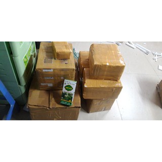 Combo 5 chai dầu tràm Anh Duy loại 1 ,chai 100ml